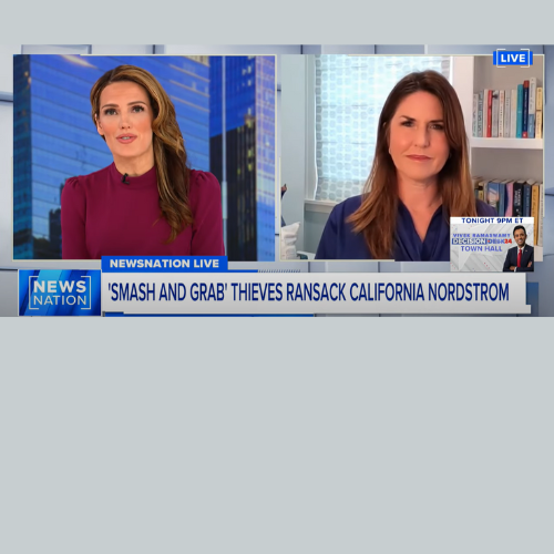 NewsNation - Rachel Fiset on the Challenge of Stopping Flash Robberies in High-end Designer Stores