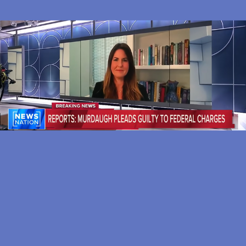 NewsNation – Rachel Fiset on Murdaugh Pleading Guilty to 22 Federal Financial Crimes
