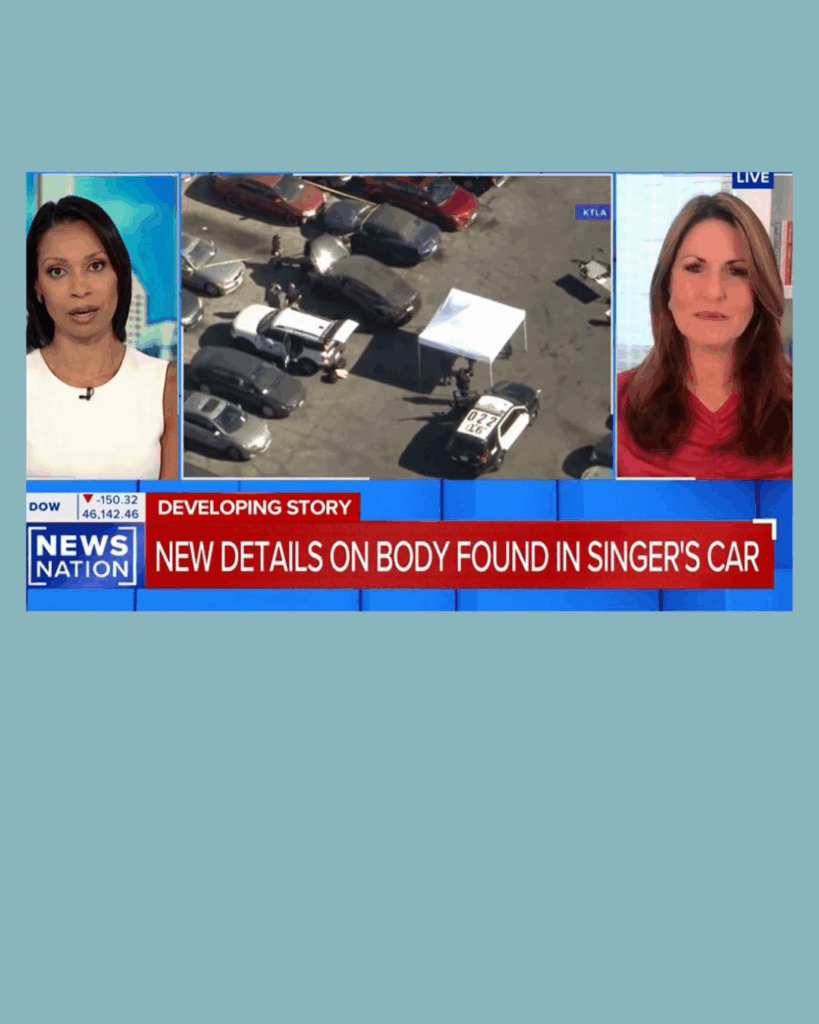 NEWSNATION - Rachel Fiset Discusses the Ongoing Investigation of Body Found in D4VDs Tesla!